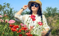 免费快播理论电影